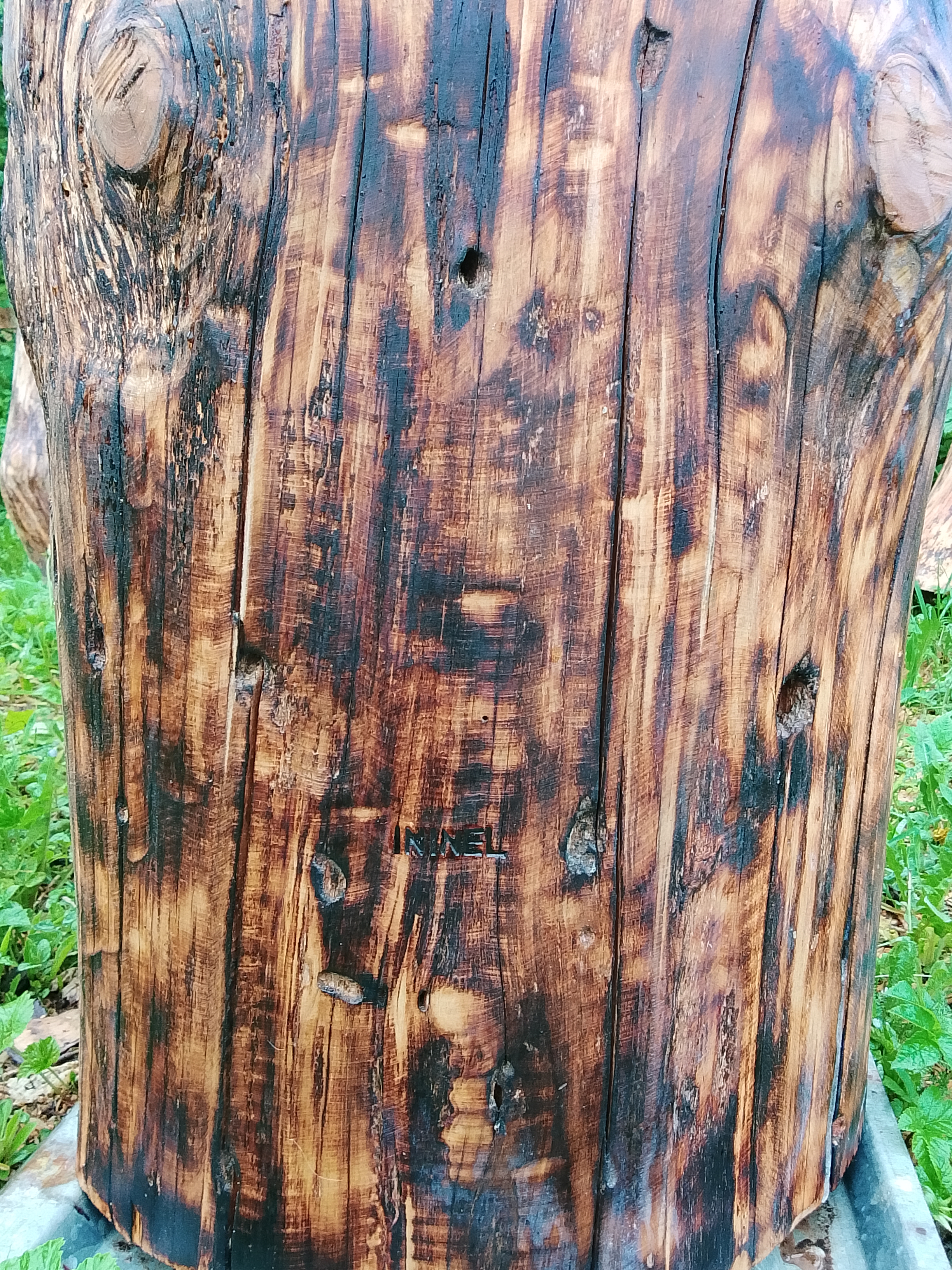 Колода для пчел ININEL