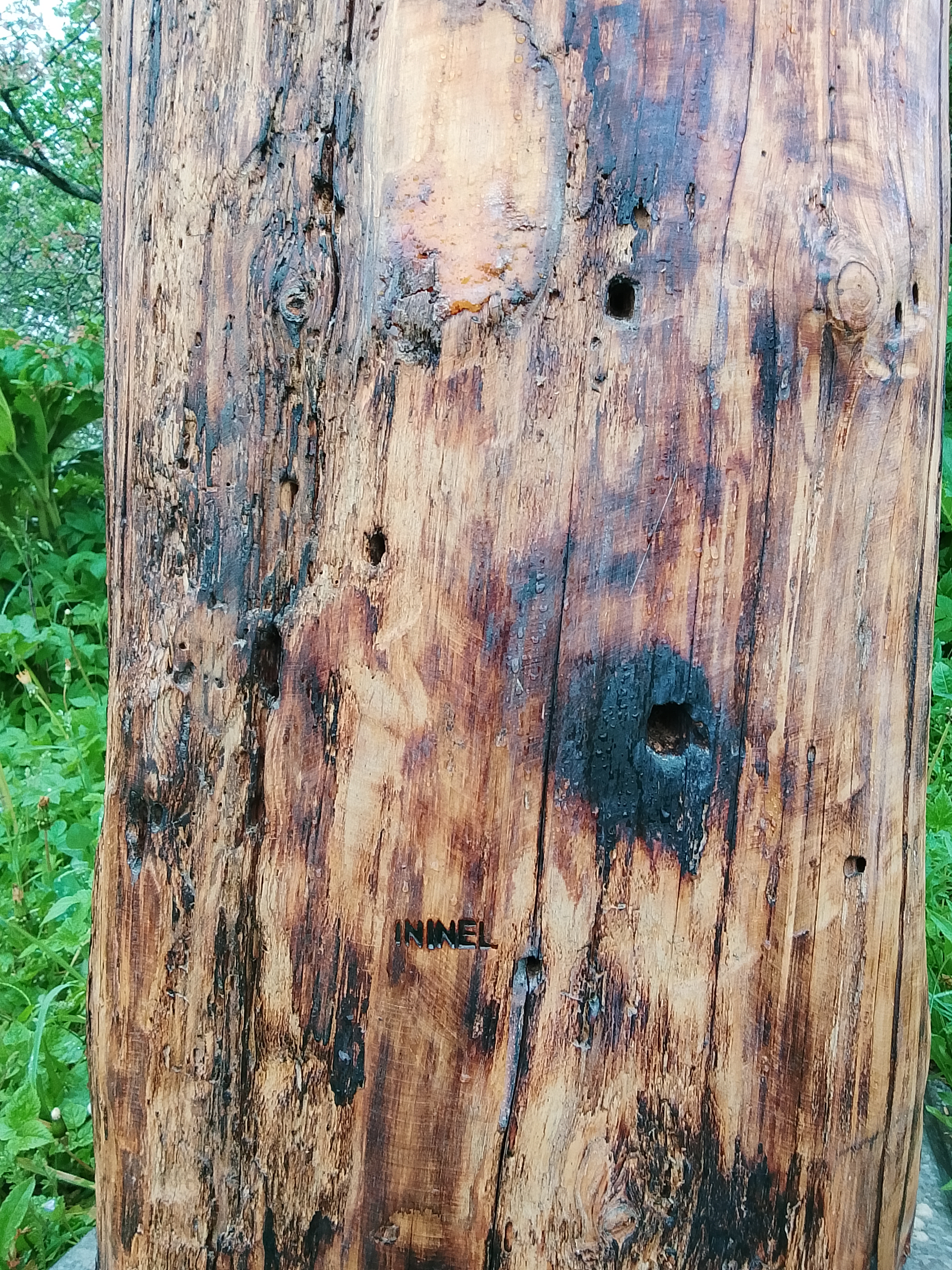 Колода для пчел ININEL